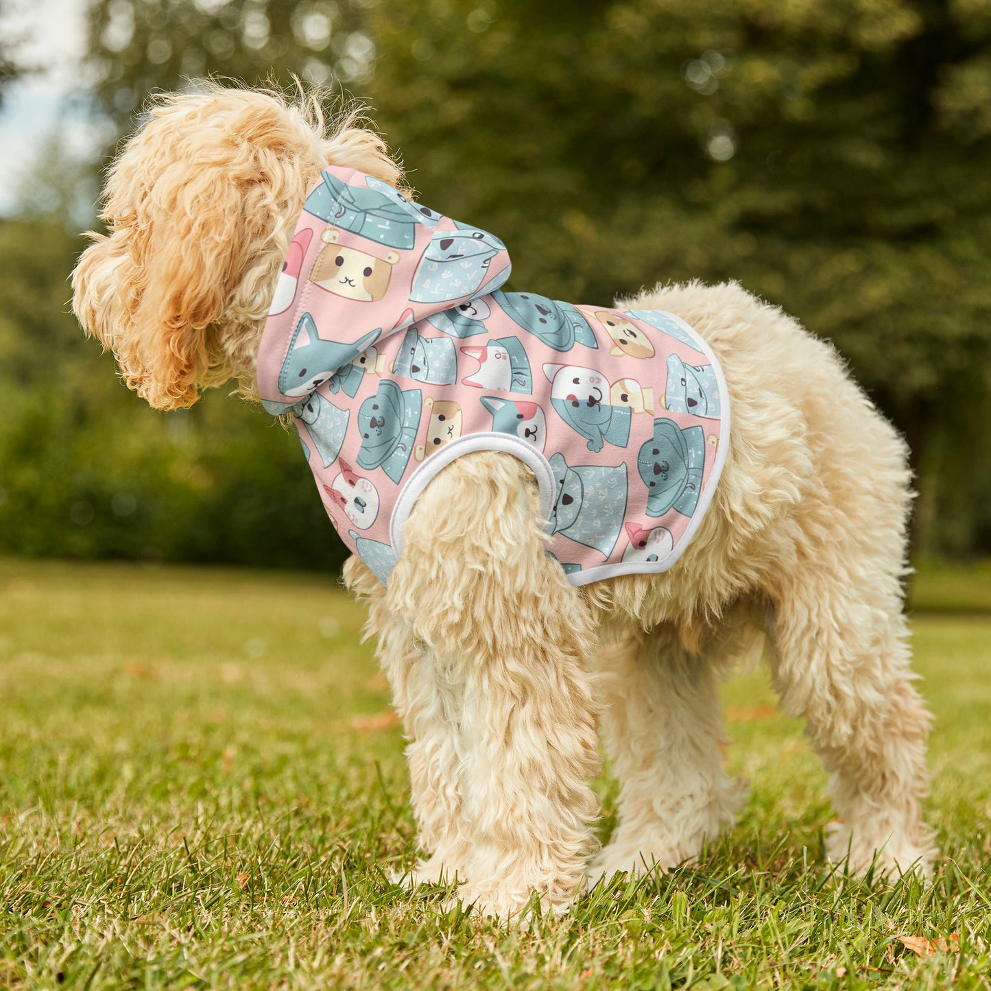 Pet Hoodie