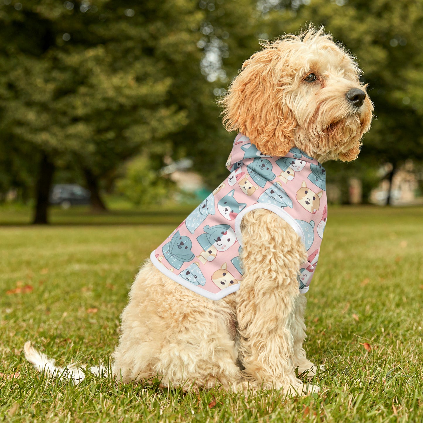 Pet Hoodie